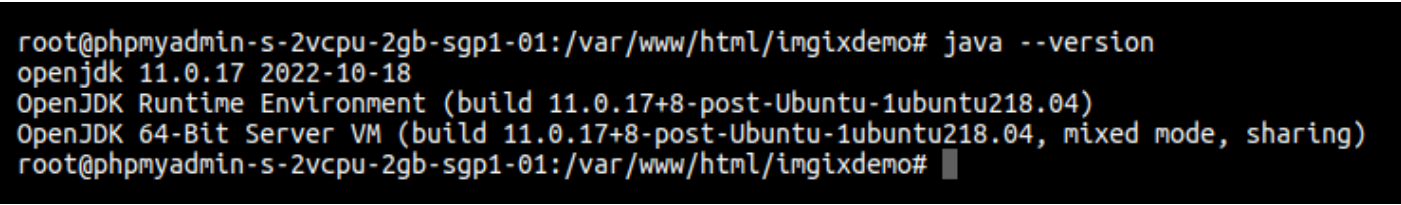 Check Java version