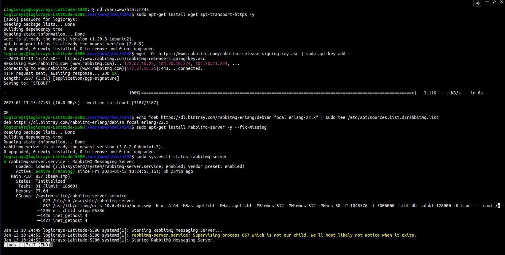 RabbitMQ server installation output